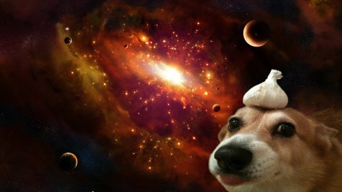 0Wx3.jpg