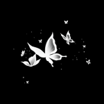 1NohST