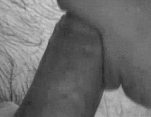 1zNsYF.gif