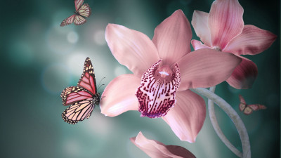 Ultra HD 4K Computer Background image 963 5gF1L2T UHD Desktop Wallpaper