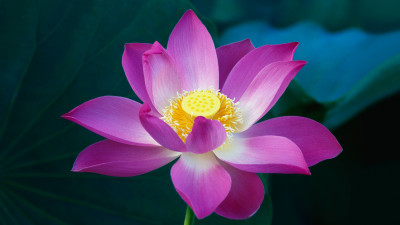 Ultra HD 4K Computer Background image 958 uc07Qr6 UHD Desktop Wallpaper