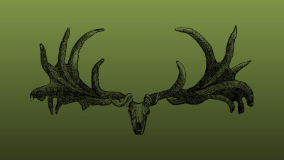 Ultra HD 4K Computer Background image 961 nht3C61 UHD Desktop Wallpaper
