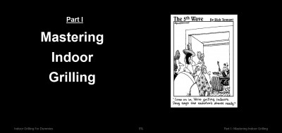 Indoor Grilling for Dummies (3)