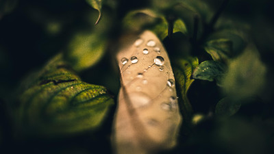Ultra HD 4K High resolution Background image 1094 aXBaqxs UHD Desktop Wallpaper