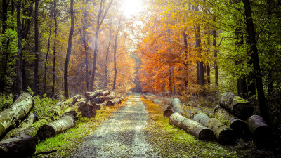Ultra HD 4K Computer background image 1166 7zo1wCI UHD Desktop Wallpaper