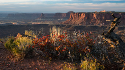 Ultra HD 4K Computer background image 1140 yTMdc4H UHD Desktop Wallpaper