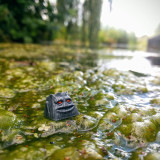 606pF