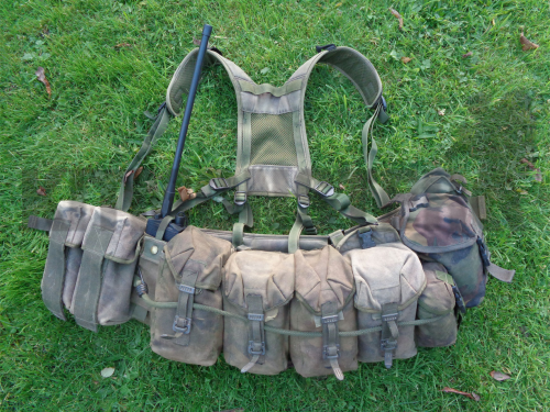 PLCE webbing