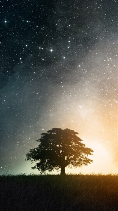 Mobile Phone background image 118 tlzM4Pm HD Smartphone Wallpaper