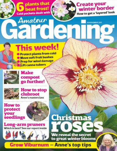 Amateur Gardening 14 November 2017 (1)