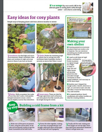 Amateur Gardening 14 November 2017 (3)