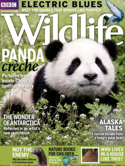 BBC Wildlife December 2017 (1)