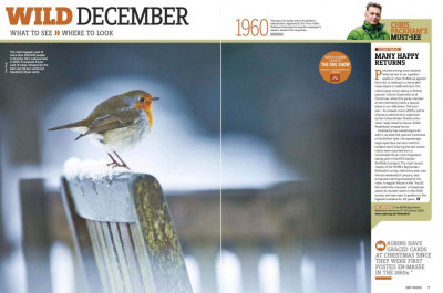 BBC Wildlife December 2017 (3)