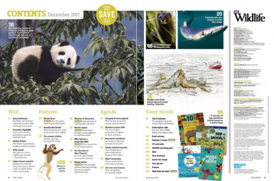 BBC Wildlife December 2017 (2)