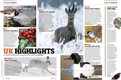 BBC Wildlife December 2017 (4)