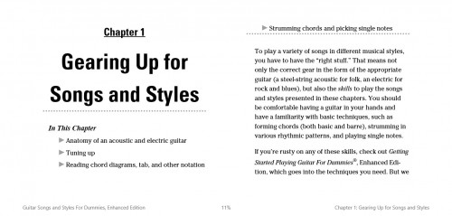 Guitar Songs and Styles For Dummies, Enhanced Edition (2)