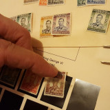 82YBNF