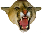 8Icqvq.png
