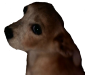 8IcsEM.png