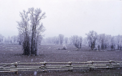 8R7I97.jpg