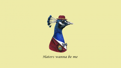 8ZKsD.png