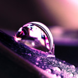 8ebhlH