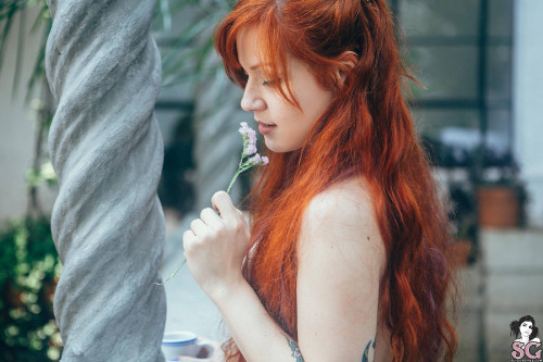 Beautiful Suicide Girl Sunrider Wild Flower (55) High resolution lossless iPhone retina image