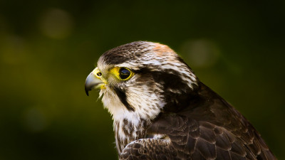 9nfnM.jpg