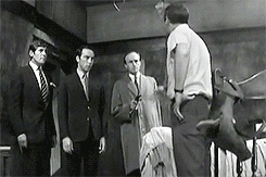 AFuZ7v.gif