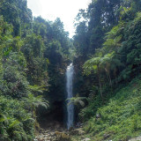 AYKQAo