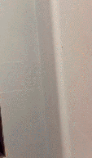 C3GXqo.gif