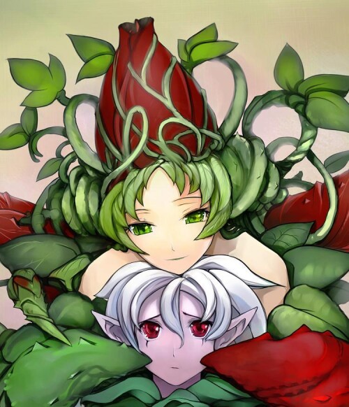 C5aRKq.jpeg