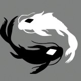 CGXT