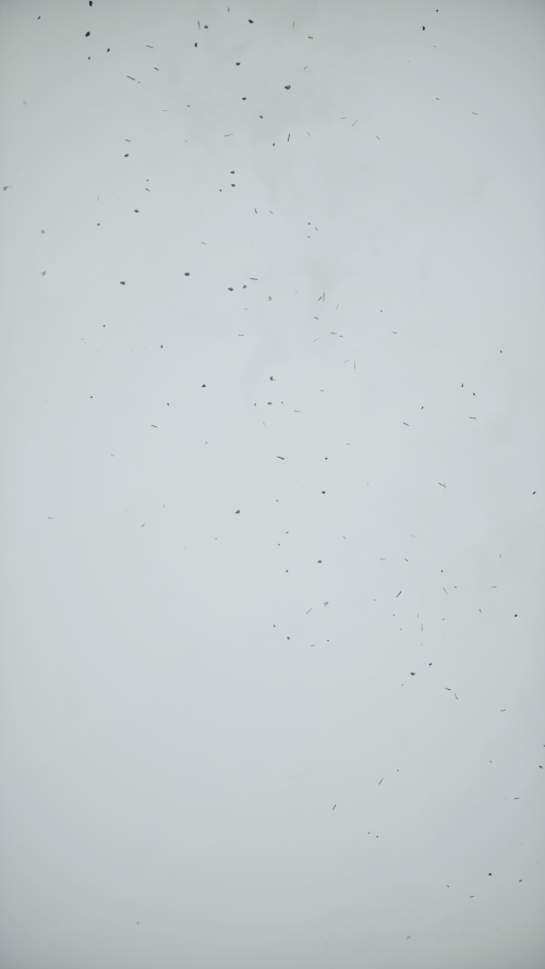 CibsAx.png