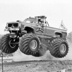 D1a56r
