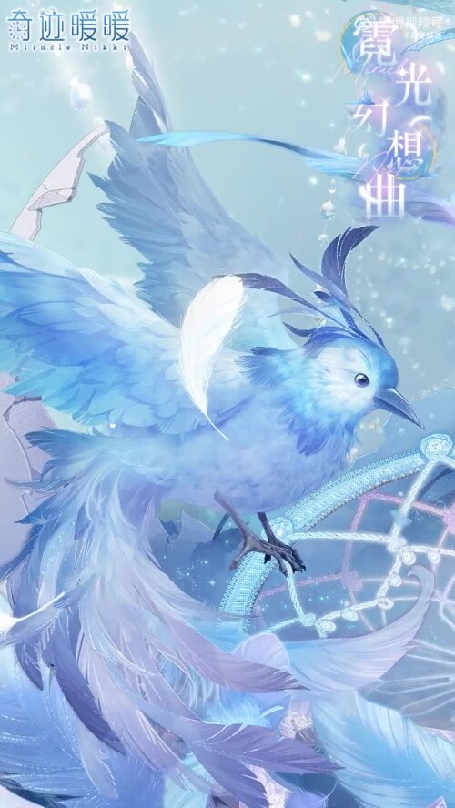 bird 6