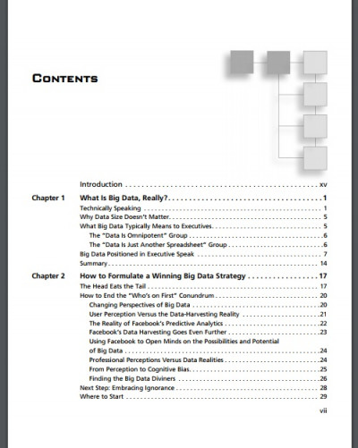 Data Divination Big Data Strategies (2)