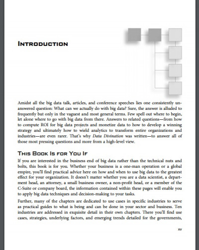 Data Divination Big Data Strategies (3)