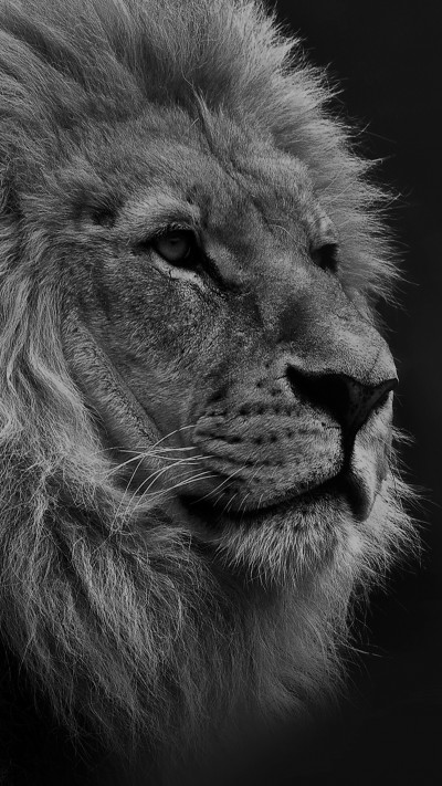 Amazing Smartphone Background image 45 HpgkwRs HD Mobile Phone Wallpaper