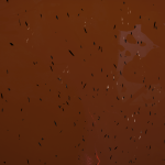 EYCs9k