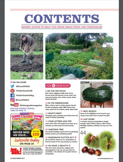 Kitchen Garden December 2017 (2)