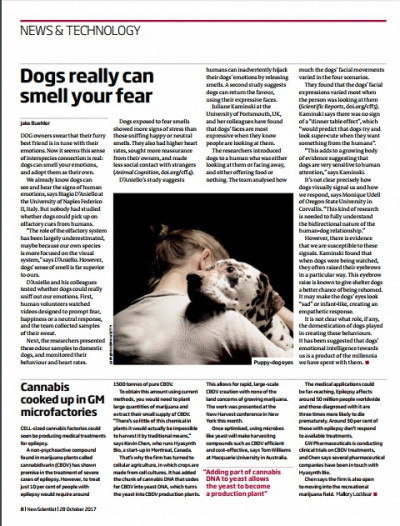 New Scientist International Edition October 28, 2017 (4)