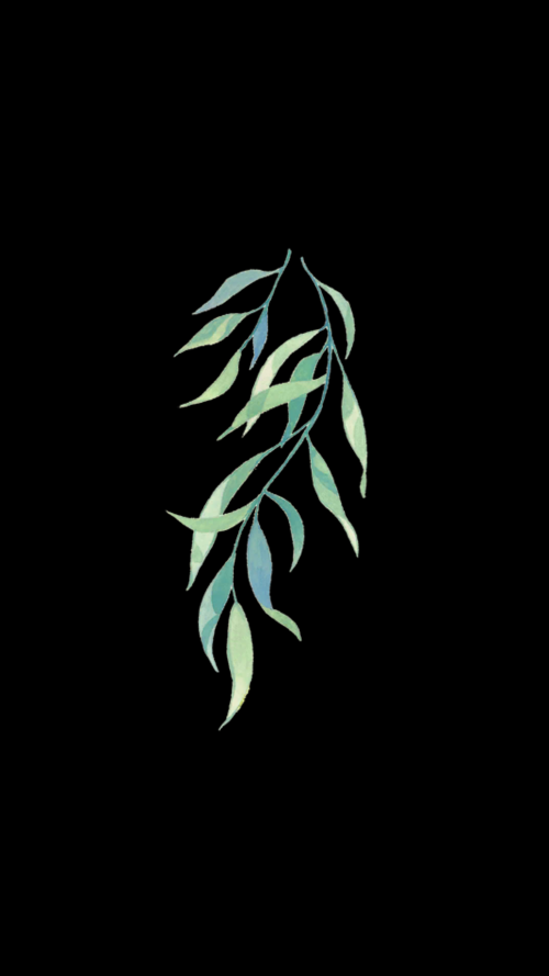 H3qw21.png