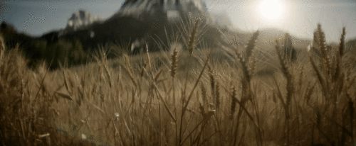 HRmWca.gif