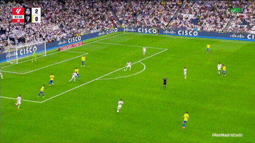 HUVPCa.gif