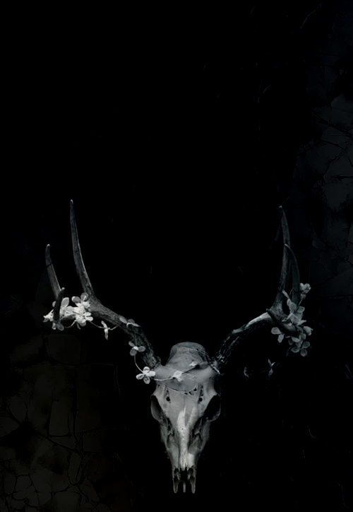 HcL1mc.png