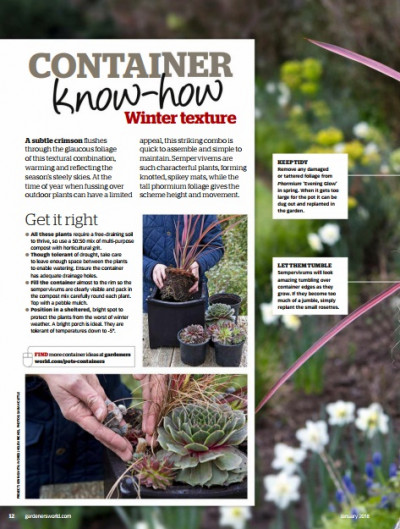 BBC Gardeners World January 2018 (4)