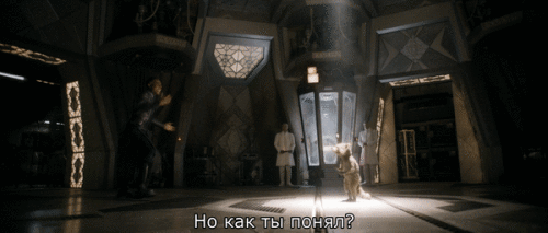 J3IlEC.gif