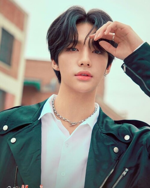 straykidshyunjins 70033033 3020342994647627 4699231302355813556 n