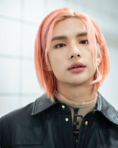 straykidshyunjins 119235731 2980614052165447 8614632536290952173 n